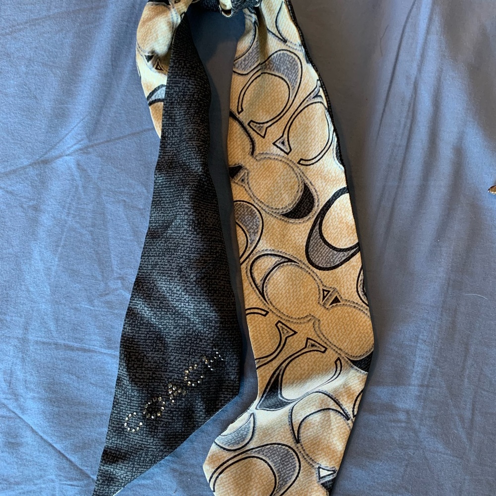 Silk Skinny Coach Scarf